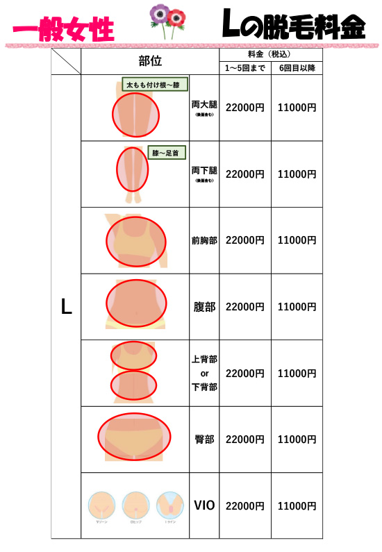 一般女性料金表 Lの脱毛料金