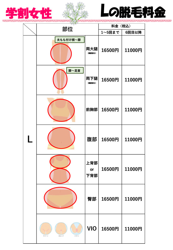学割女性料金表 Lの脱毛料金