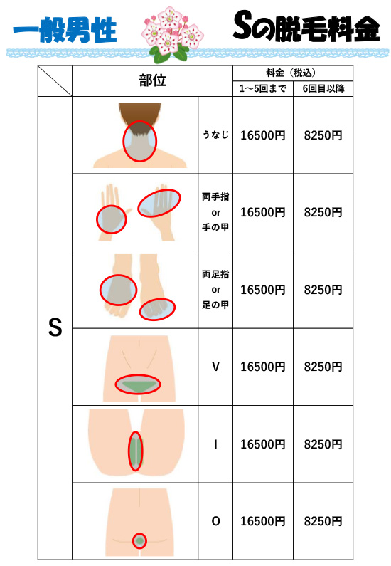 一般男性料金表 Sの脱毛料金