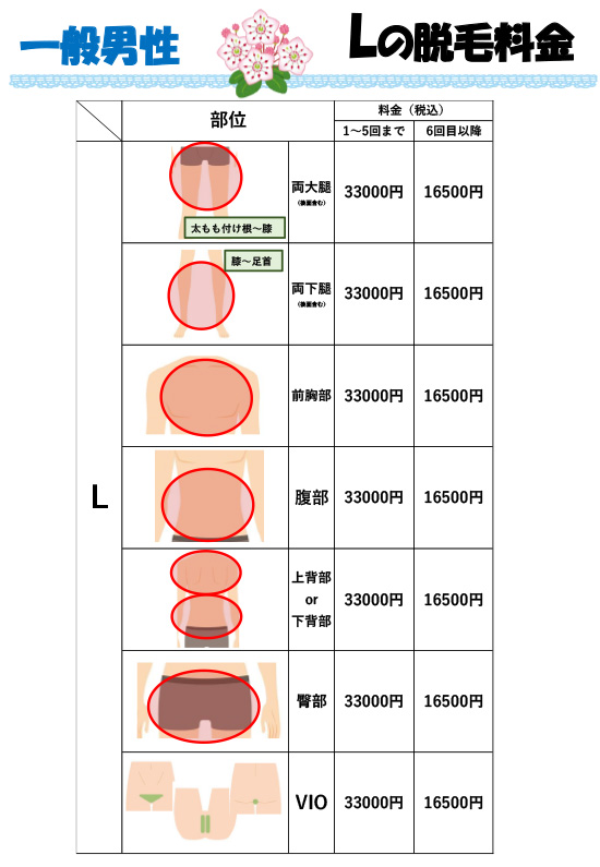 一般男性料金表 Lの脱毛料金
