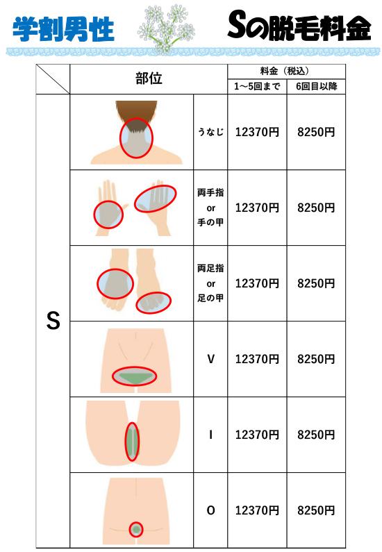 学割男性料金表 Sの脱毛料金