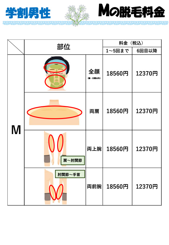 学割男性料金表 Mの脱毛料金